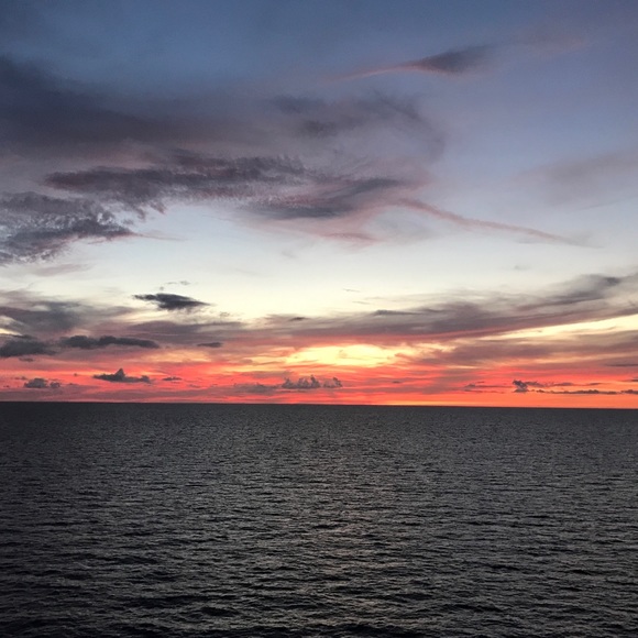 Meet your Posher, Angelina - Picture 1 of 1